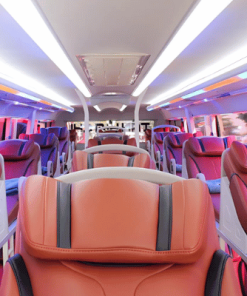 Xe limousine giường nằm 36 giường Queen Bus, không gian rộng rãi cho nhóm đông người