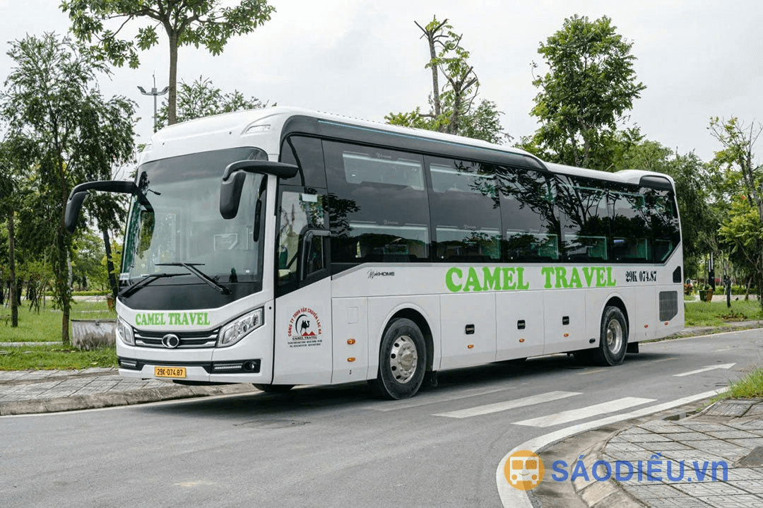 Xe Camel Hà Nội Quảng Bình chuyên phục vụ khách du lịch