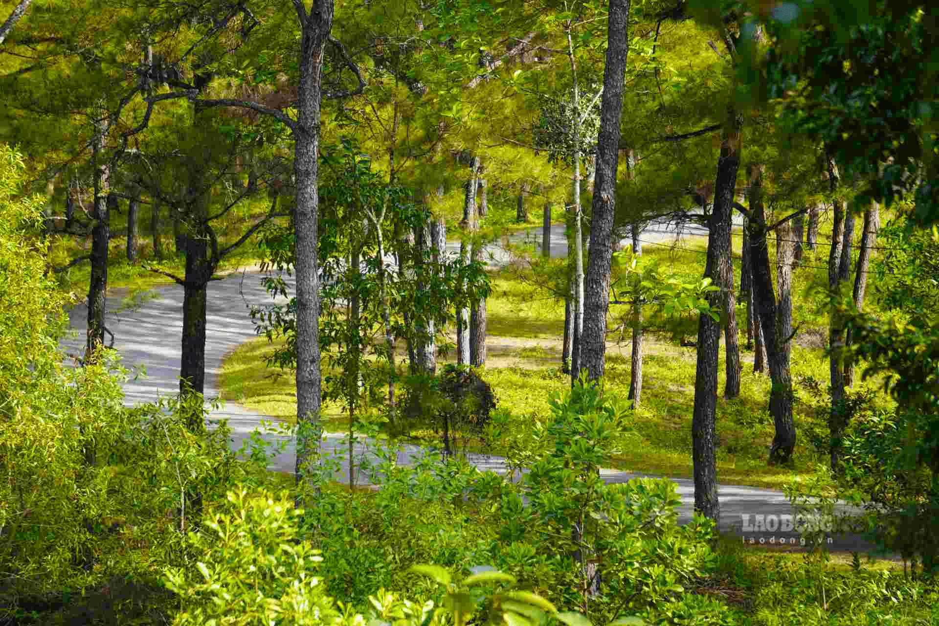 Chữa lành tâm hồn với thiên nhiên thơ mộng, trữ tình Chữa lành tâm hồn với thiên nhiên thơ mộng, trữ tình