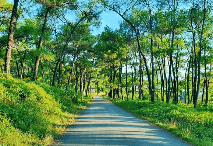 Đón nắng sớm trong không khí trong lành, dễ chịu tại đồi Thiên An Đón nắng sớm trong không khí trong lành, dễ chịu tại đồi Thiên An