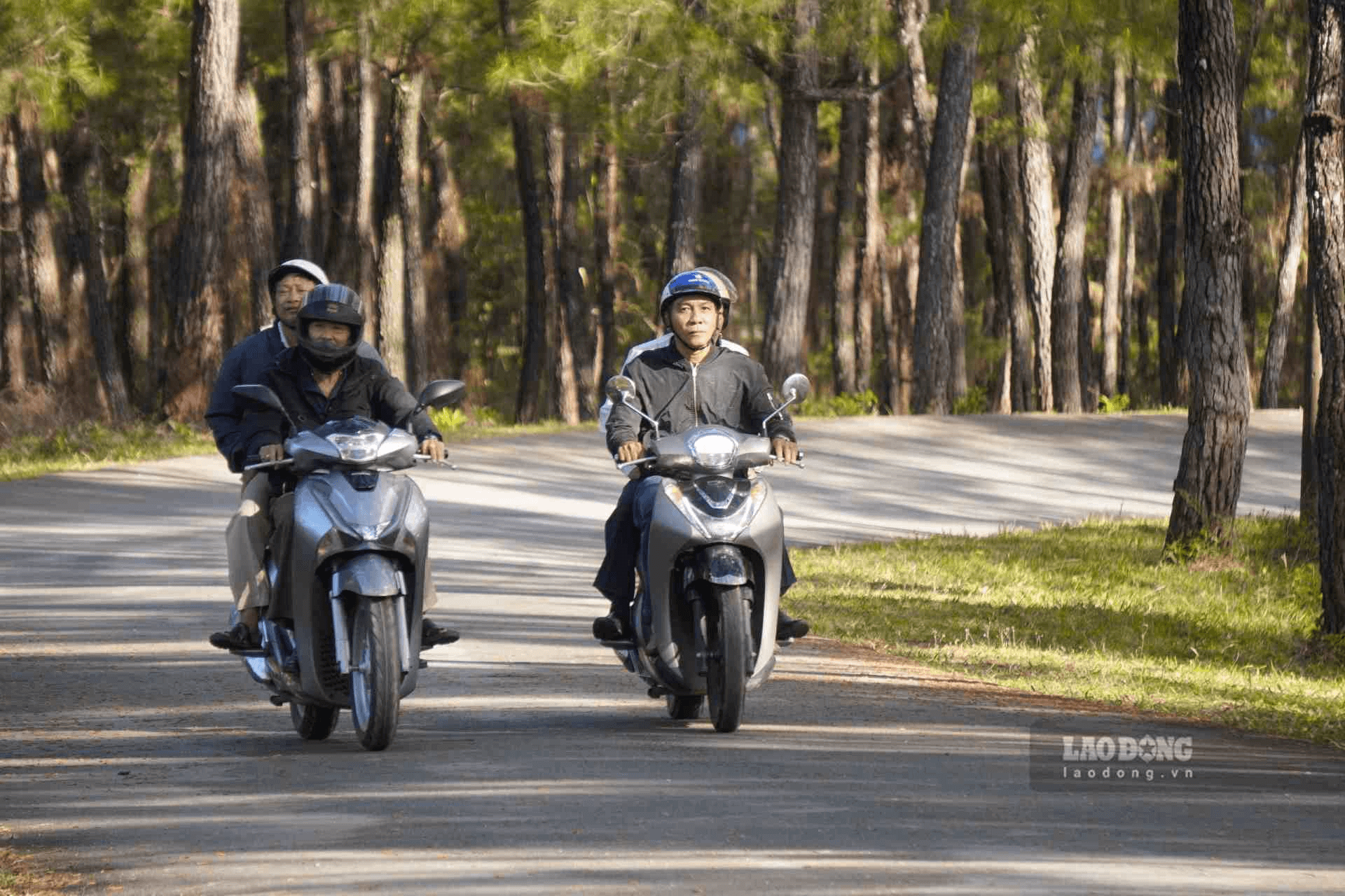 Trải nghiệm cảm giác thư giãn, hòa mình vào phong cảnh đường đi Trải nghiệm cảm giác thư giãn, hòa mình vào phong cảnh đường đi