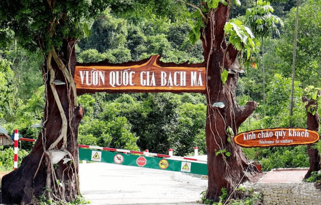 Để vào được núi Bạch Mã, cần mua vé vào cổng Vườn Quốc Gia Bạch Mã