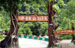 Để vào được núi Bạch Mã, cần mua vé vào cổng Vườn Quốc Gia Bạch Mã