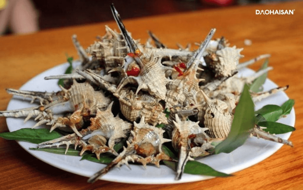 Sò huyết và ốc gai luôn giữ được độ tươi ngon (Ảnh Dao Hai san) Sò huyết và ốc gai luôn giữ được độ tươi ngon (Ảnh Dao Hai san)