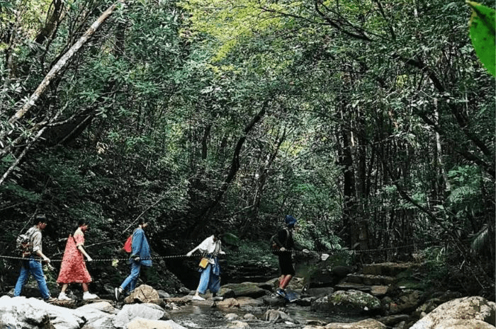 Trekking núi Bạch Mã chỉ giành cho những ai đủ sức khoẻ và bền bỉ Trekking núi Bạch Mã chỉ giành cho những ai đủ sức khoẻ và bền bỉ