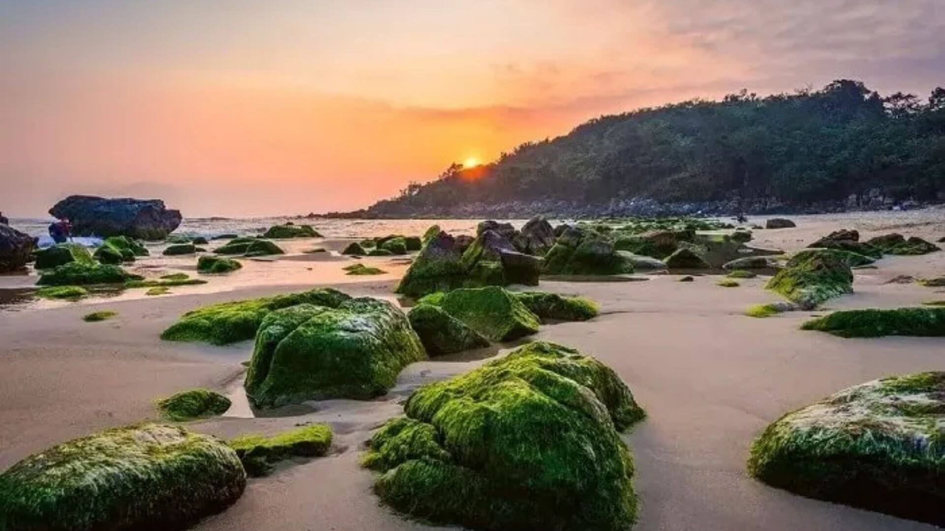 Bình minh trên bãi đá rêu xanh biển Nam Ô Đà Nẵng (Ảnh Sưu tầm)