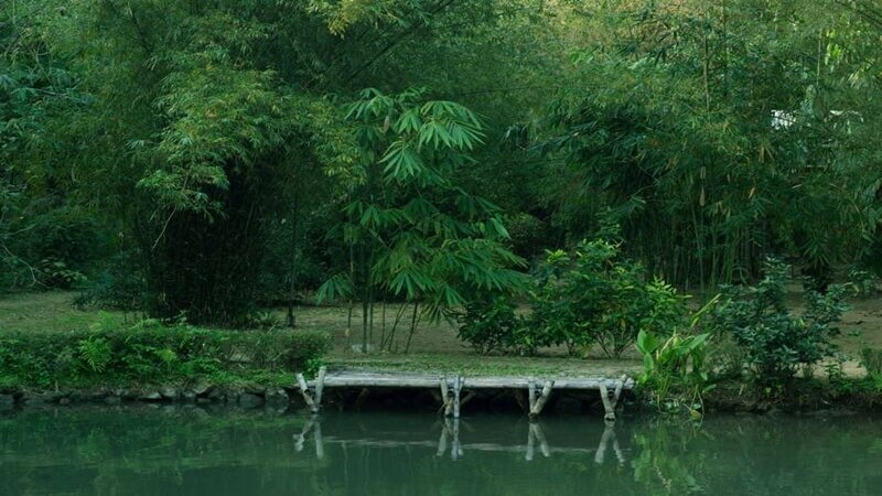 Các địa điểm gần Bãi Bụt Sơn Trà Tịnh Viên (Ảnh Sưu tầm)
