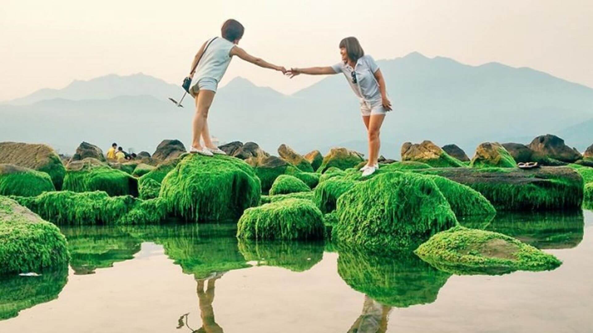Check in bãi biển Nam Ô Đà Nẵng mùa rêu xanh – góc chụp cực chill (Ảnh Sưu tầm)