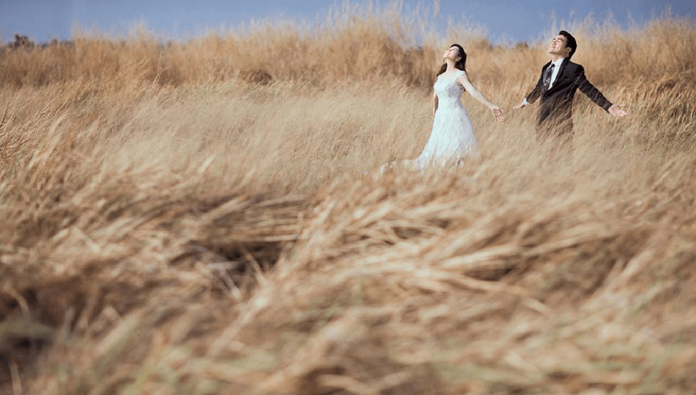 Bãi cỏ cháy là nền ảnh check in độc lạ, hoang dã như thảo nguyên