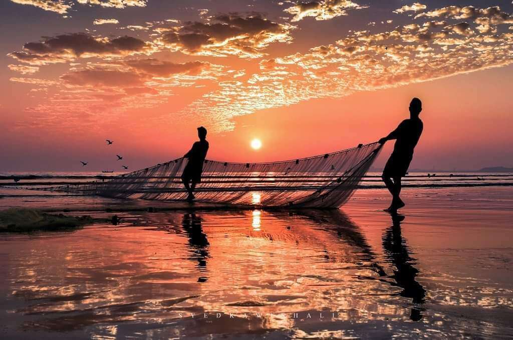 Trải nghiệm thử “làm ngư dân” tại biển Mân Thái Đà Nẵng (Ảnh Sưu tầm)