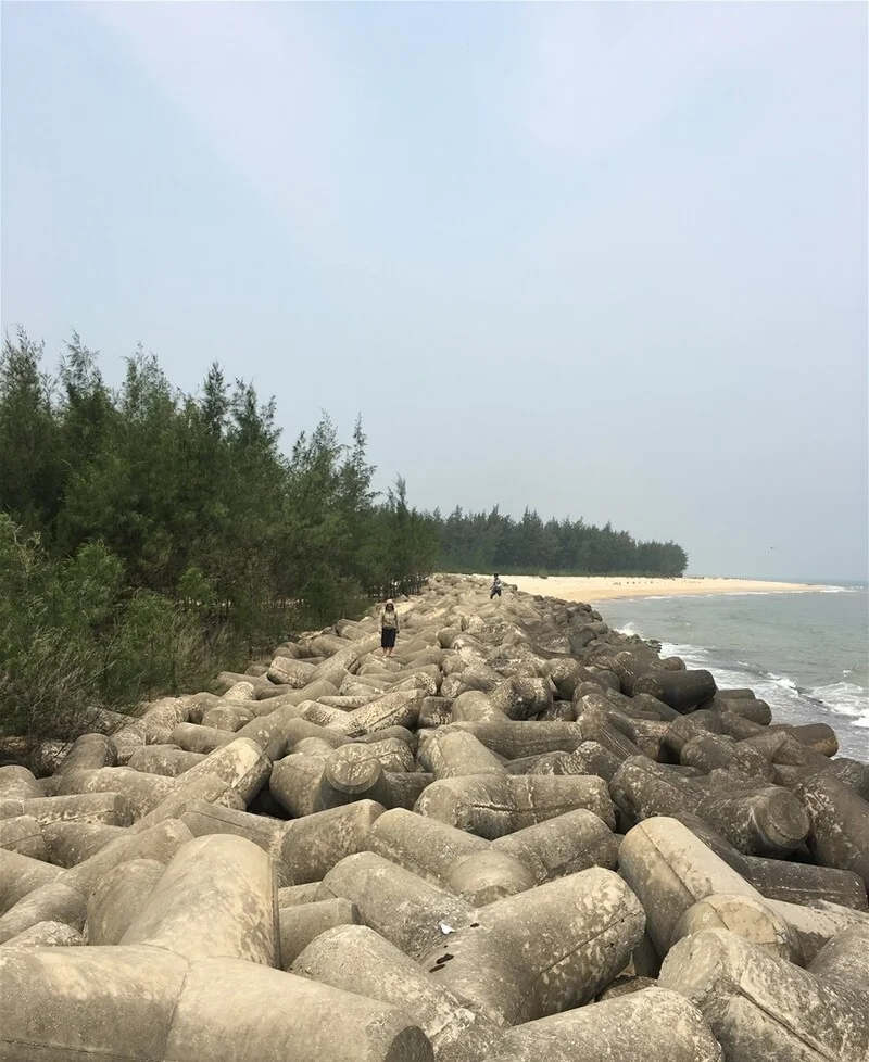 Bãi tổ ong bãi biển Hải Dương Huế (Ảnh Sưu tầm)