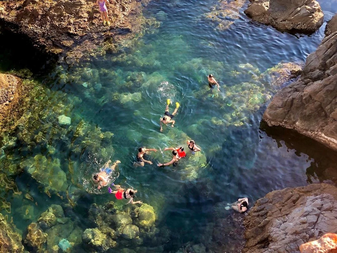 Du khách đang lặn biển ngắm san hô gần Mũi Nghê.