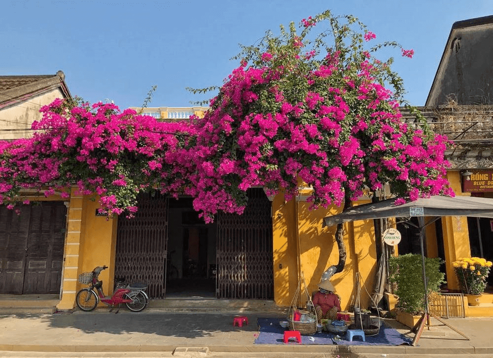 Kiến trúc đặc trưng của phố cổ Hội An (Ảnh Sưu tầm)