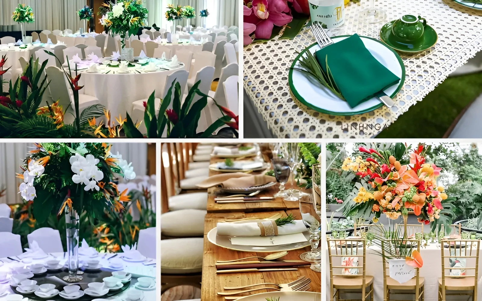 concept dam cuoi tropical nhiet doi tuoi moi Concept Tropical mang hơi thở tươi mới của thiên nhiên