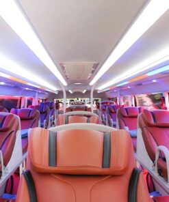 Xe giường nằm 36C