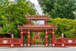 Trường Quốc Học Huế: Kinh Nghiệm Tham Quan & Check-in A-Z 