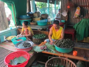 luxury cham island tour 1
