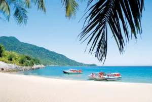 luxury cham island tour 2