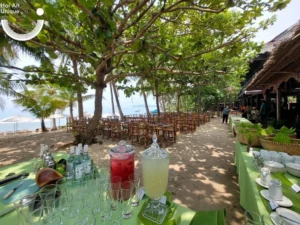 luxury cham island tour