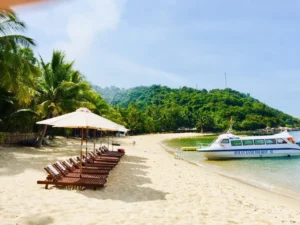 luxury cham island tour 4