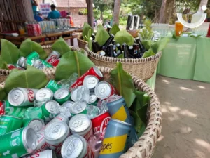 luxury cham island tour 7