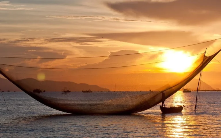 Eco-Luxury Sunset Hoi An River Cruise: Golden Hour & Net Fishing