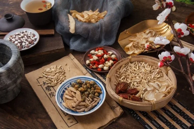 Hoi An Medicinal Garden, Countryside Cycling & Cooking Class Tour