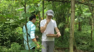 hoi an medicinal garden cooking class tour 23