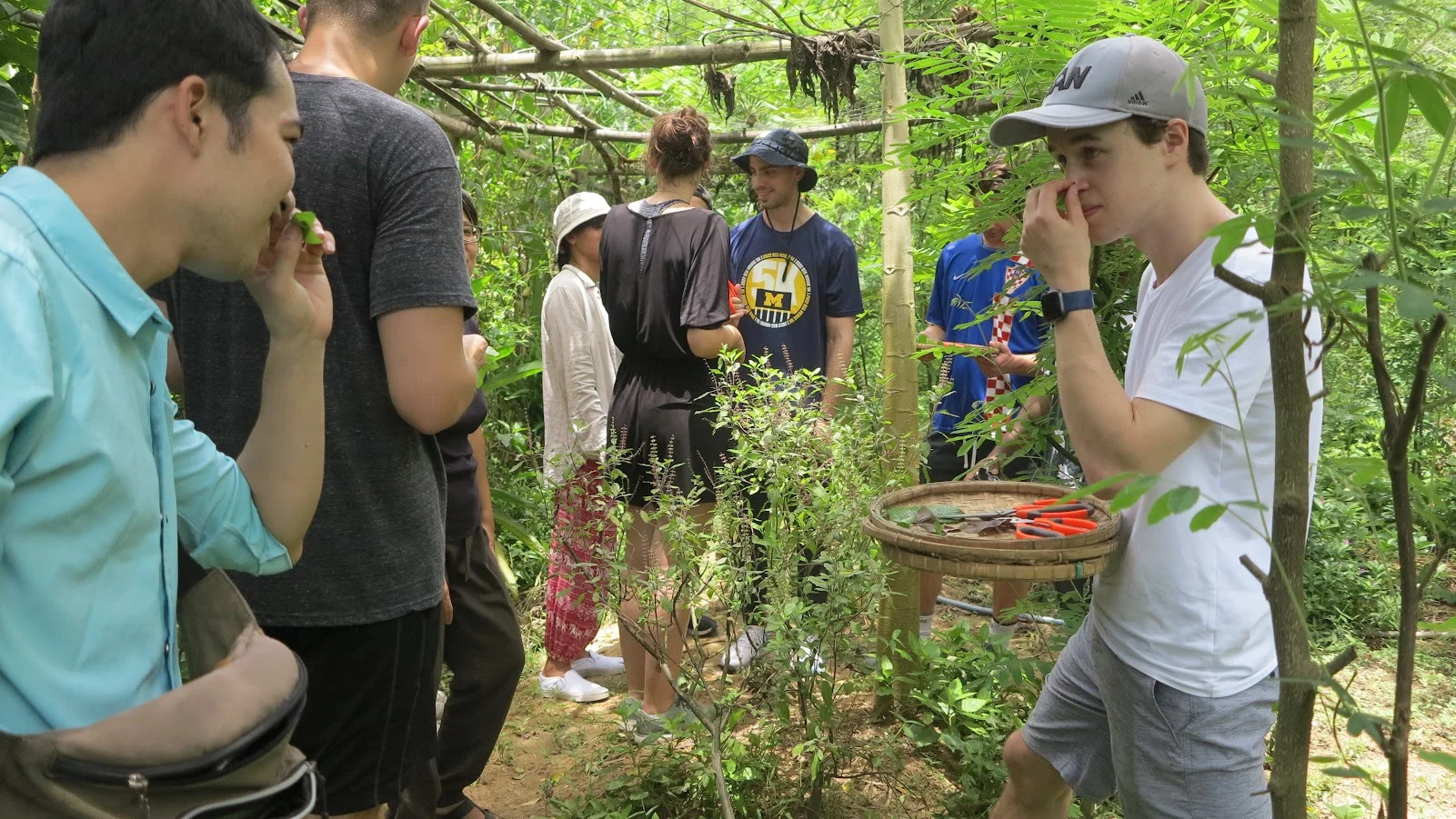 hoi an medicinal garden cooking class tour 24