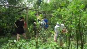 hoi an medicinal garden cooking class tour 25